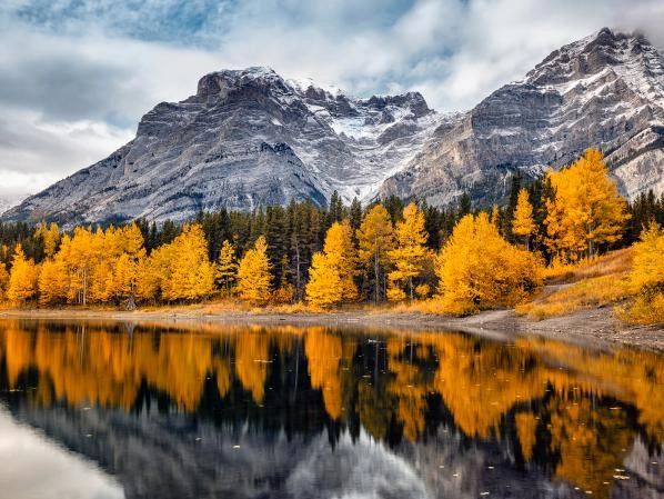 Canada Strengthens Environmental Laws