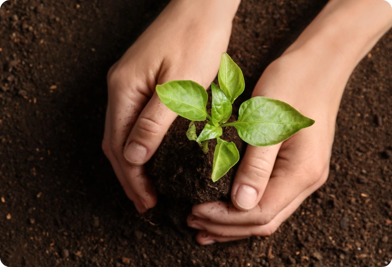 Manage the lifecycle of your products